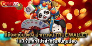 สล็อต เว็บ ตรง ฝาก ถอน true wallet ไม่มี ขั้น ต่ำ โปรสำหรับคนทุนน้อย